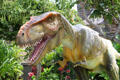 T-Rex animated model represents type of temporary exhibits at Bishop Museum. Honolulu, HI.