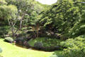 Japanese Garden at University of Hawai'i. Honolulu, HI.