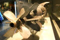Japanese torpedo recovered from mud of Pearl Harbor at Arizona Memorial museum. Honolulu, HI.