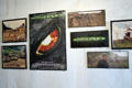 Posters of movies filmed at Kualoa Ranch - Godzilla. HI.