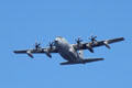Marine Corp C-130 Hercules transport plane departs Honolulu