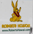 Rabbit on tourist bus in Oahu. HI.