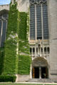 Ivy covered Gothic walls of Rockefeller Memorial Chapel. Chicago, IL.