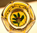 Flowers in yellow paperweight at Illinois State Museum. Springfield, IL
