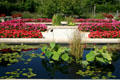 Flower garden at White River Gardens. Indianapolis, IN.