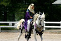 Arabian horse at Kentucky Horse Park. Lexington, KY.