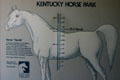 Horses measured in hands at Kentucky Horse Park. Lexington, KY.