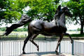 Morgan Horse statue at Kentucky Horse Park. Lexington, KY.