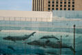 Whale wall by Wyland on building beside Riverwalk Marketplace. New Orleans, LA.