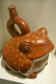 Moche terracotta stirrup vessel in form of frog from North Coast of Peru at New Orleans Museum of Art. New Orleans, LA.