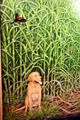 Entry hall painting of dog & birds among sugar cane by Craig Black at Houmas House. Burnside, LA.