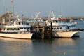 Excursion boats at Plymouth harbor. Plymouth, MA.