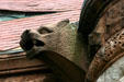 Gargoyle on Crane Library. Quincy, MA.