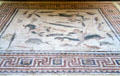 Roman mosaic floor of marine animals from Antioch at Museum of Fine Arts. Boston, MA.