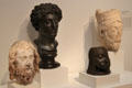 Sculpted heads from Europe & Africa at Harvard Art Museums. Cambridge, MA.