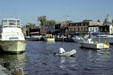 Annapolis town harbor. Annapolis, MD.