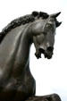 Leonardo da Vinci's Horse detail of head in Meijer Garden. Grand Rapids, MI.