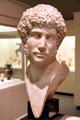Roman marble portrait head of Emperor Hadrian at University of Missouri Museum of Art & Archaeology. Columbia, MO.