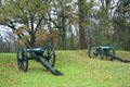 Artillery pieces in woods. Vicksburg, MS.