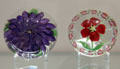 French glass paperweights with embedded flowers at Currier Museum of Art. Manchester, NH.