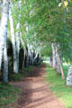 Treed path in gardens at Saint-Gaudens NHS. Cornish, NH.