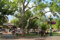 Santa Fe Plaza center of town life. Santa Fe, NM