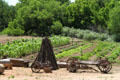 Food garden & wagons at Rancho de las Golondrinas. Santa Fe, NM.