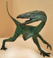 Coelophysis sculpture at New Mexico Museum of Natural History & Science. Albuquerque, NM.