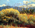 Chamisa in Bloom painting by Ernest Martin Hennings at Harwood Museum of Art. Taos, NM.