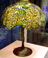 Laburnum library lamp by Louis Comfort Tiffany on bronze base at Corning Museum of Glass. Corning, NY.