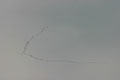 Geese in V formation over Elmira College. Elmira, NY.