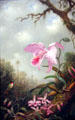 Hummingbird with Cattleya & Dendrobium Orchids painting by Martin Johnson Heade at Memorial Art Gallery. Rochester, NY.