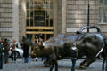 Charging Bull sculpture by Arthuro Di Modica on Bowling Green is photographed by most tourists. New York, NY.