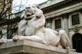 Lions by Edward Clark Potter on steps of New York Public Library. New York, NY.