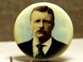 Theodore Roosevelt photo button at his Birthplace. New York, NY.