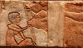 Egyptian limestone scene of feeding calves originally from Amarna at Brooklyn Museum. Brooklyn, NY.