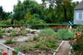 Rose garden at Toledo Botanical Garden. Toledo, OH.