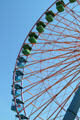 Giant Ferris Wheel at Cedar Point. Sandusky, OH.