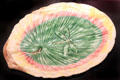Majolica platter with dragonfly at McKinley Presidential Library & Museum. Canton, OH.