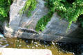 Remnants of Lock 15 cut into solid rock on Ohio & Erie Canal. Akron, OH.
