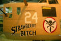Nose art of Consolidated B-24D Liberator bomber at National Museum of USAF. Dayton, OH.