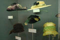 Collection of antique ladies hats at Oklahoma History Center. Oklahoma City, OK.