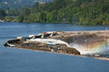 Willamette Falls dam & reservoir. Oregon City, OR