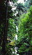 Wahkeena Falls on Columbia River Gorge near Portland. OR.