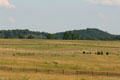 View from Confederate lines to Big & Little Round Tops at Gettysburg National Military Park. Gettysburg, PA.