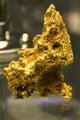 Gold nugget in mineral gallery of Carnegie Museum of Natural History. Pittsburgh, PA.