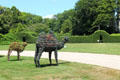 Topiary camels remember camels who used to live here as pets on lawn at Rough Point. Newport, RI.