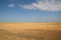 Grassland prairie in Badlands National Park. SD.