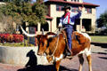 Cowboy riding long horned steer at Stockyards National Historic District. Fort Worth, TX.