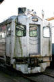 Budd Rail Diesel Car at Railroad Museum. Galveston, TX.